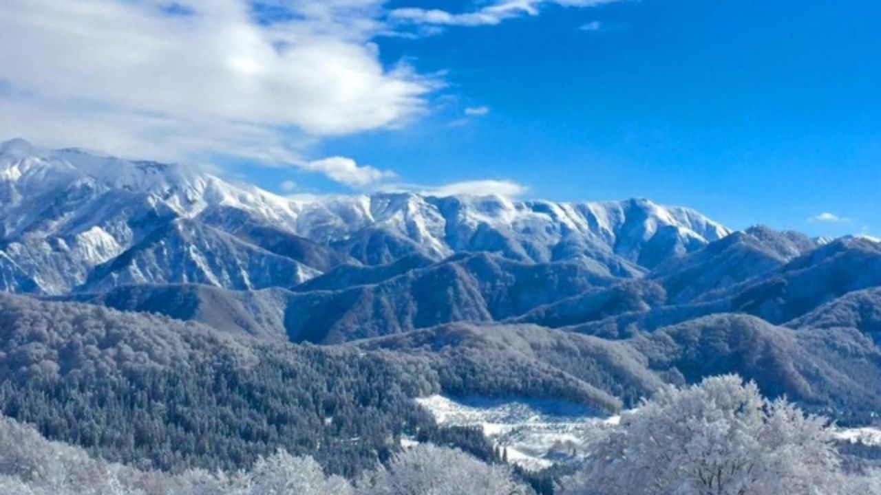 ベイル スキー ベイル スキー