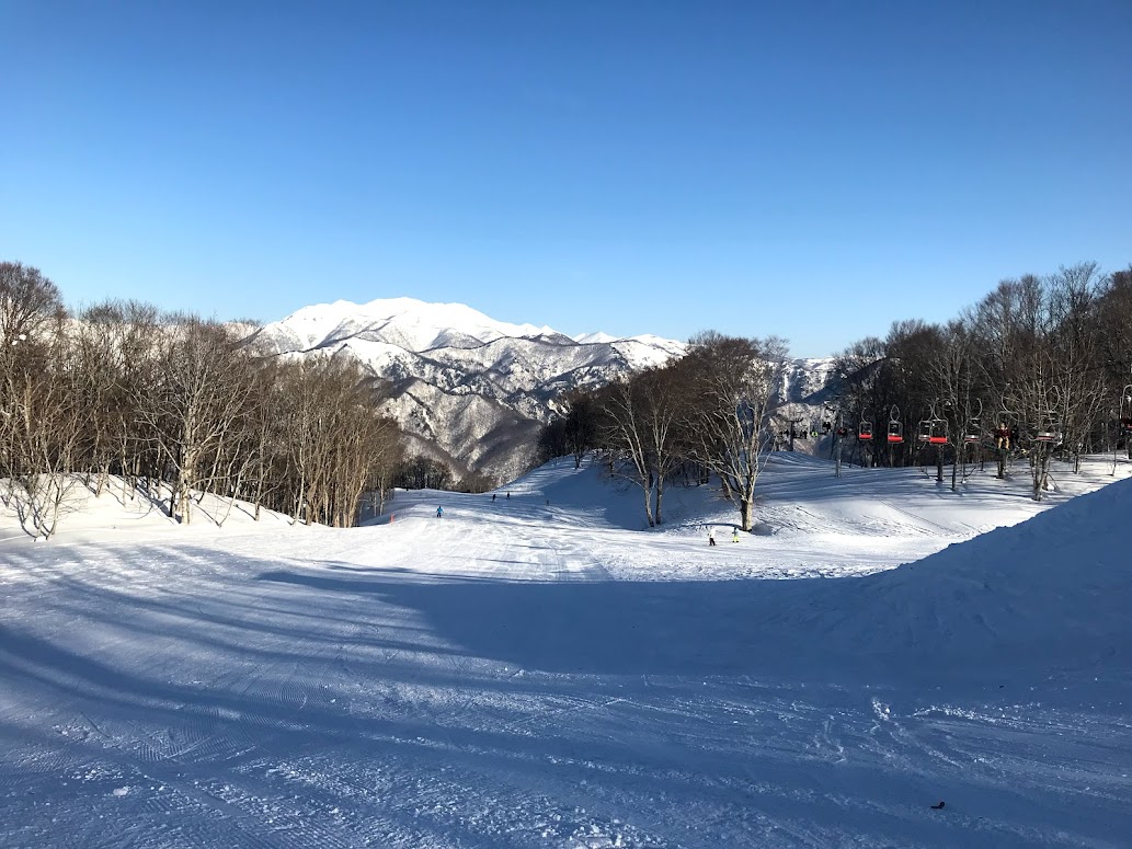 奥利根スノーパーク　OKUTONE スノーサーチ SNOWSEARCH