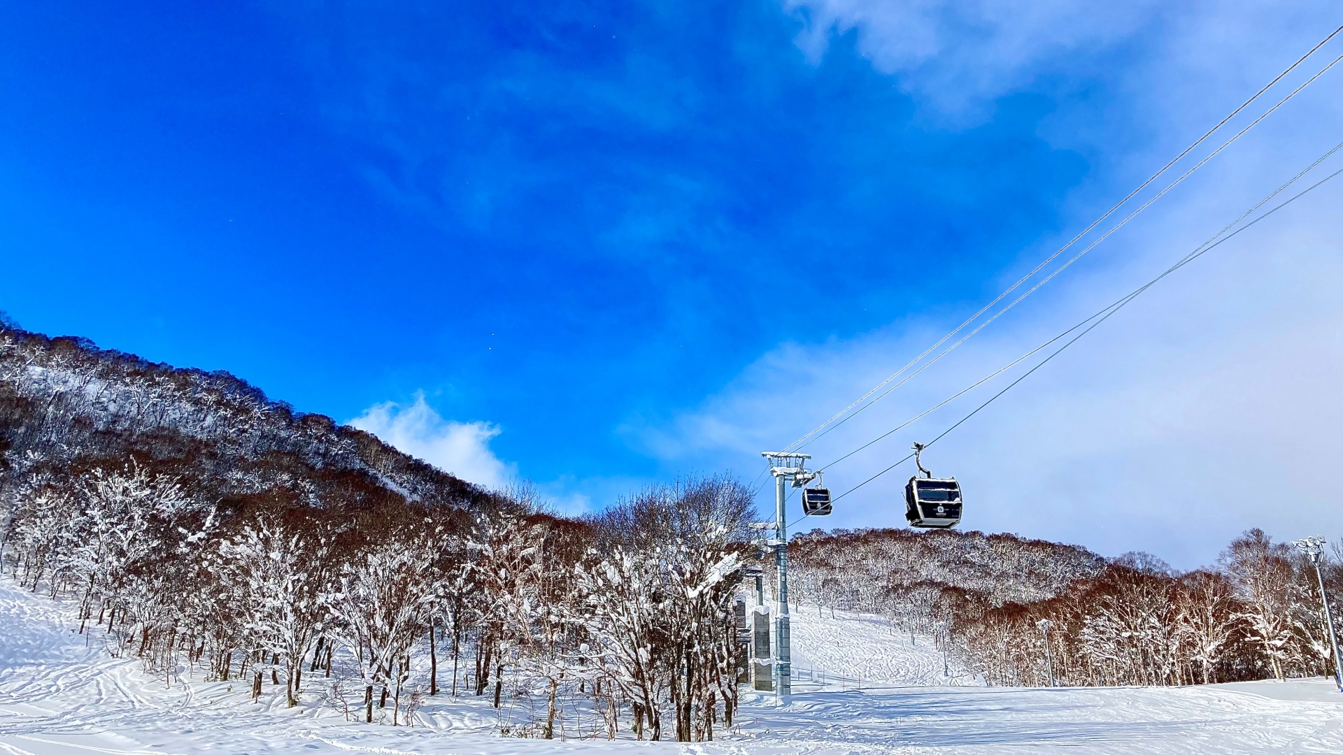 ニセコHANAZONOスキー場　SNOWSEARCH スノーサーチ