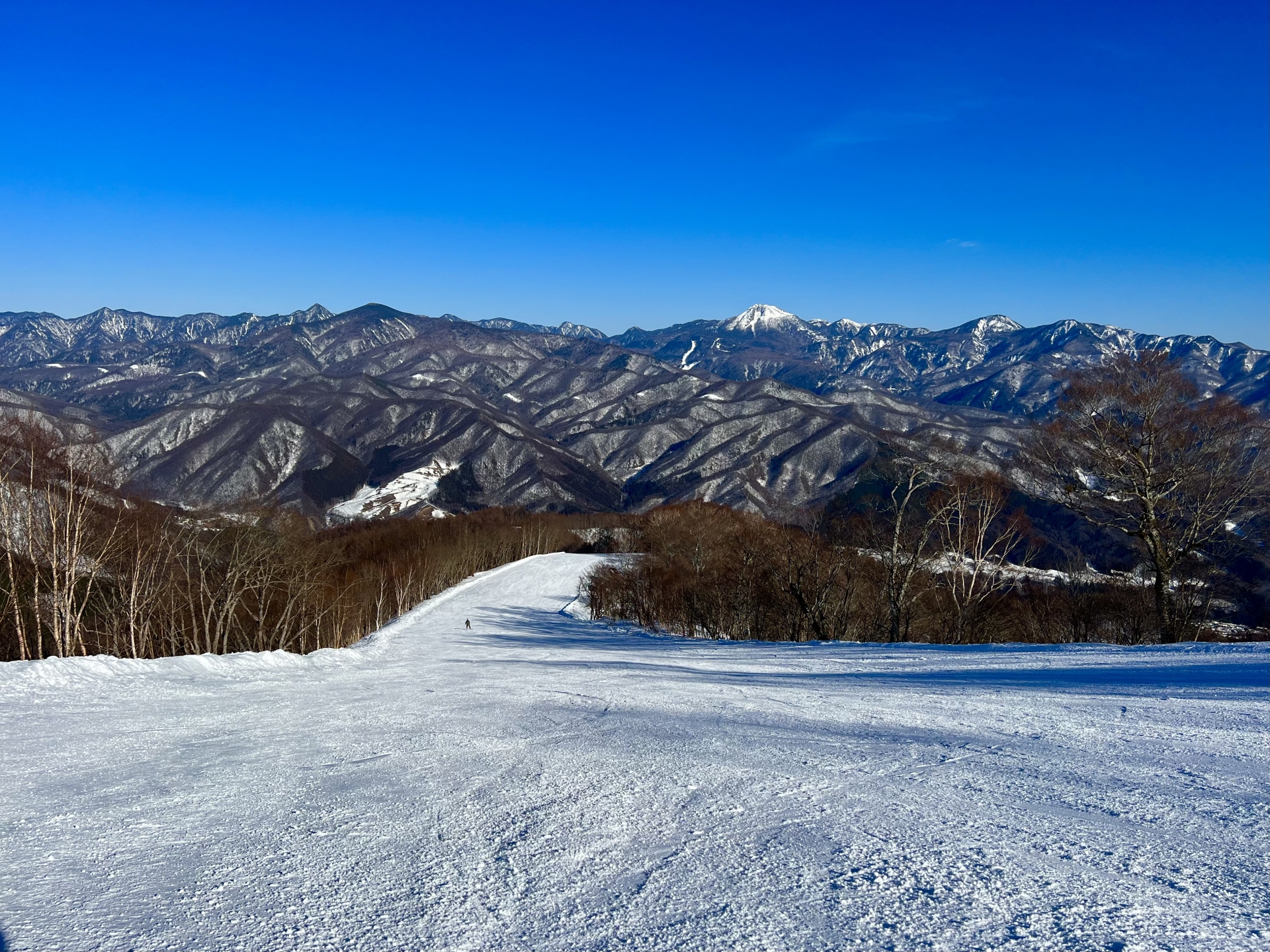 ホワイトワールド尾瀬岩鞍スキー場 スノーサーチ SNOWSEARCH