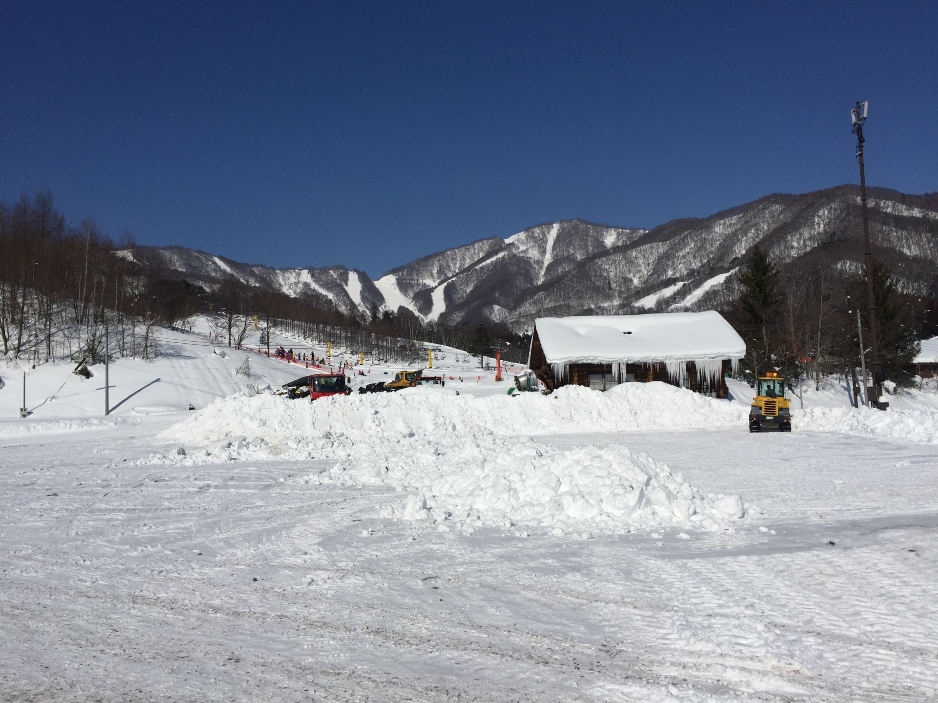 スノーサーチ　SNOWSEARCH