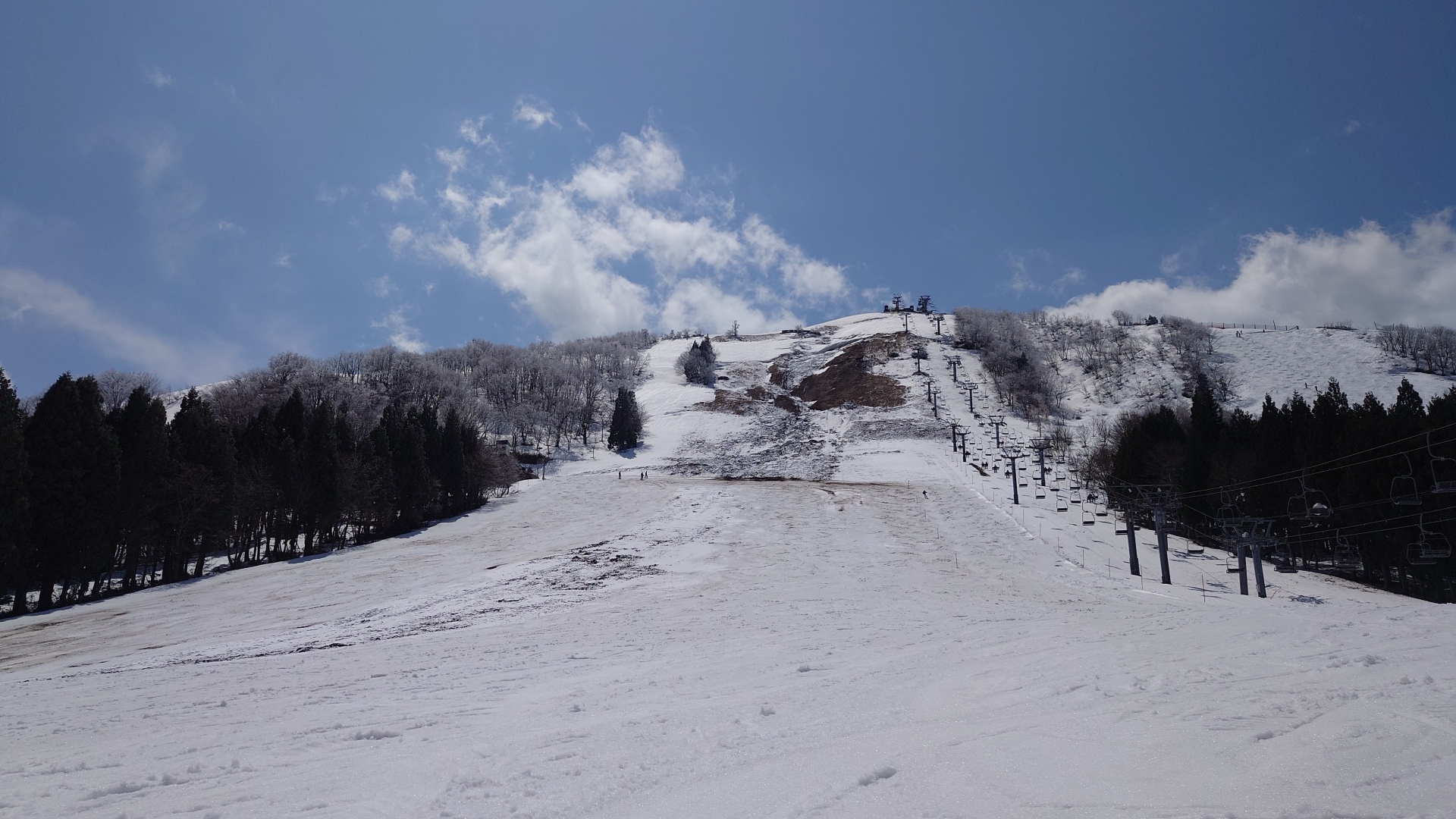 ハチ北スキー場 スノーサーチ　SNOWSEARCH