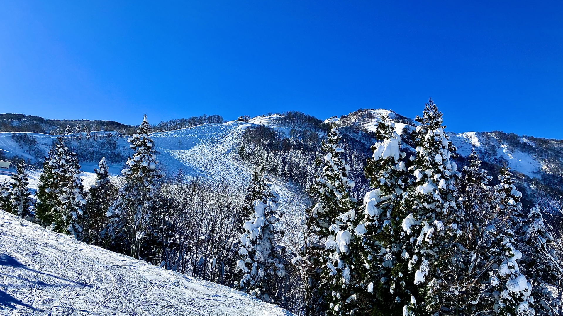 ホワイトバレースキー場 スノーサーチ　SNOWSEARCH