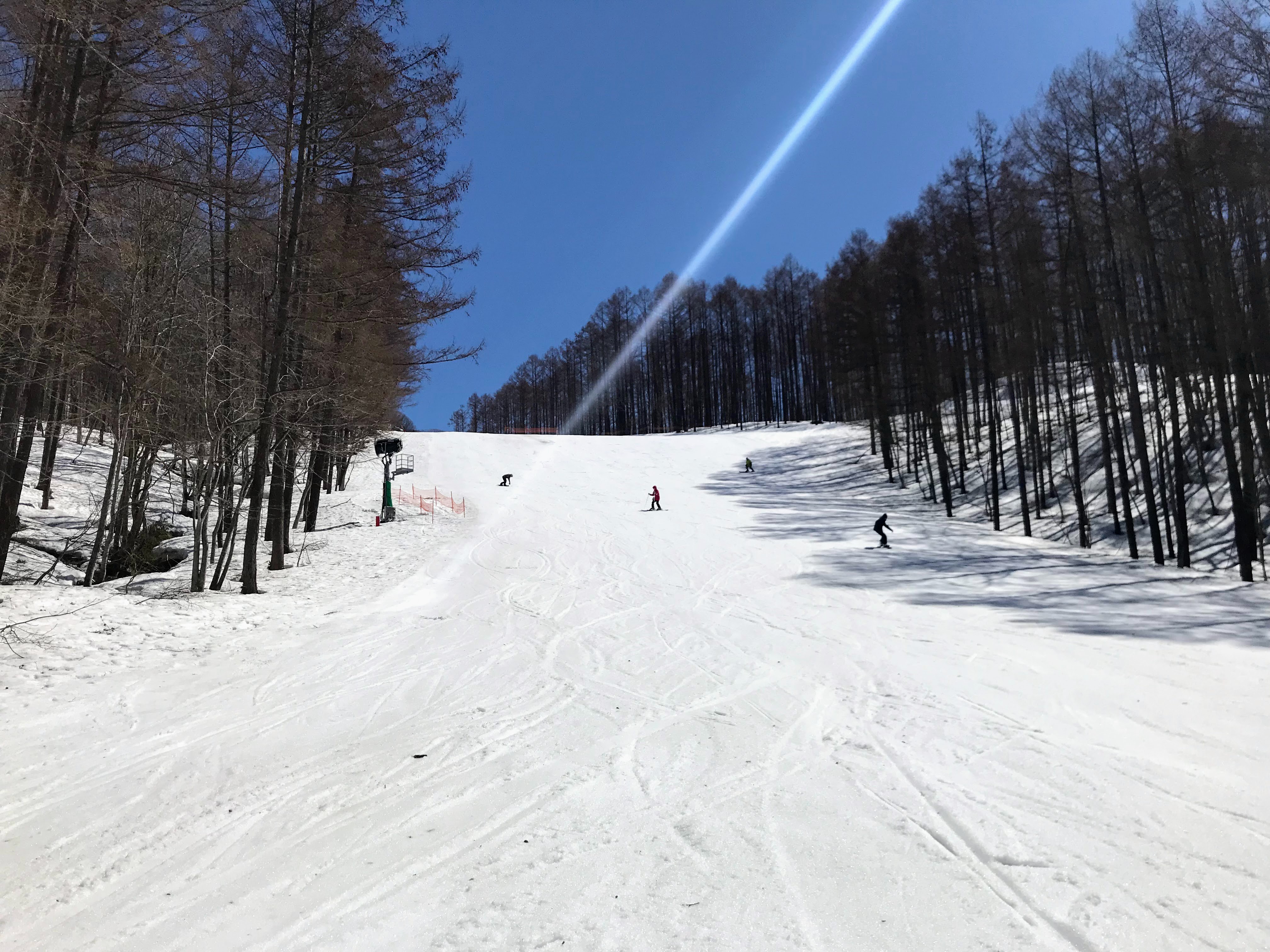 水上高原　スノーサーチ　SNOWSEARCH