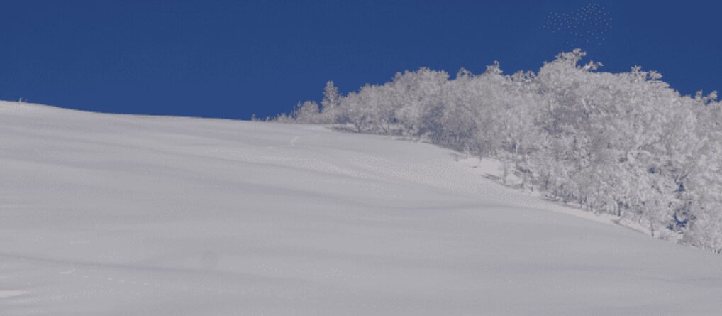 名寄ピヤシリスキー場 スノーサーチ　SNOWSEARCH