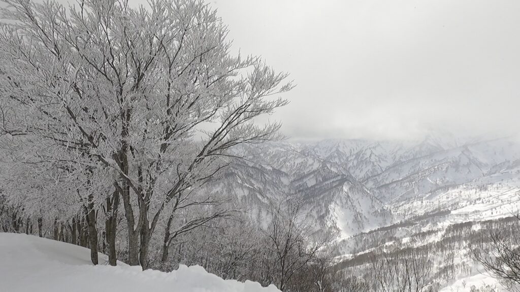 シャルマン火打スキー場
