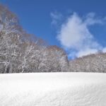 池の平温泉アルペンブリックスキー場