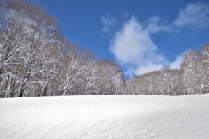 池の平温泉アルペンブリックスキー場