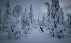 Ghost Trees　スノーサーチ SNOWSEARCH