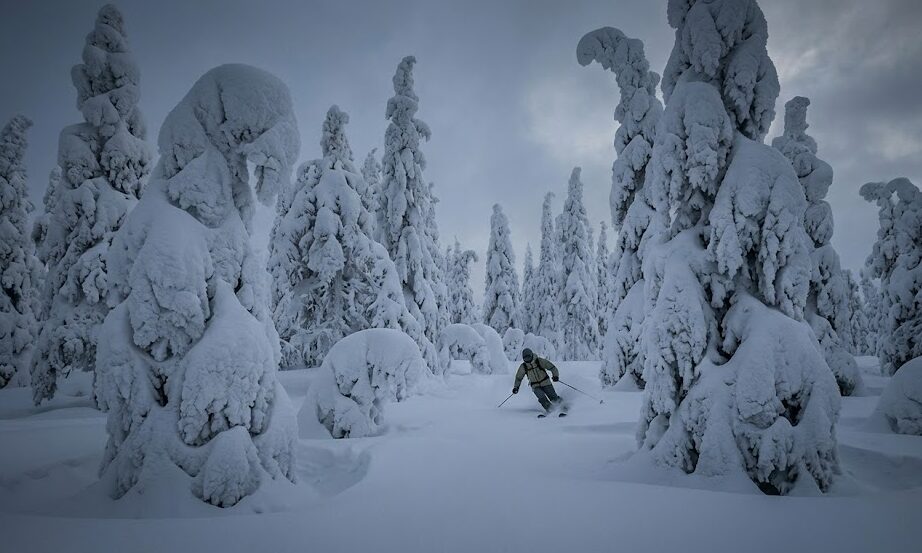 Ghost Trees　スノーサーチ SNOWSEARCH