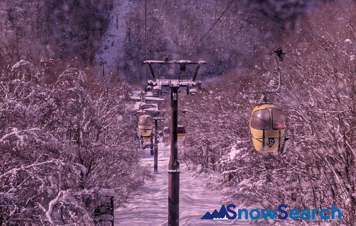 発哺ブナ平スキー場 スノーサーチ SNOWSEARCH