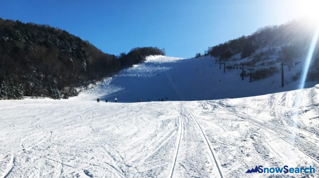 ジャイアントスキー場 SNOWSEARCH スノーサーチ　志賀高原