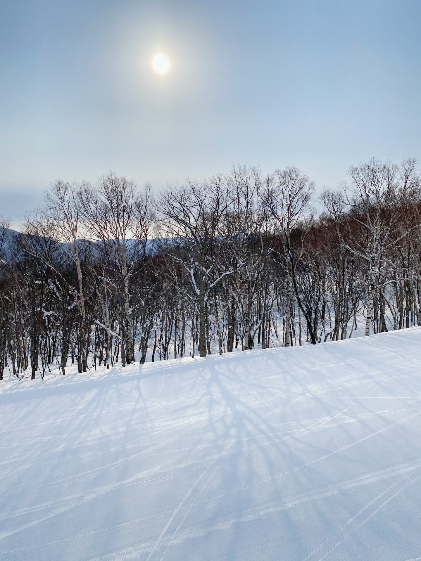 朝里川温泉スキー場