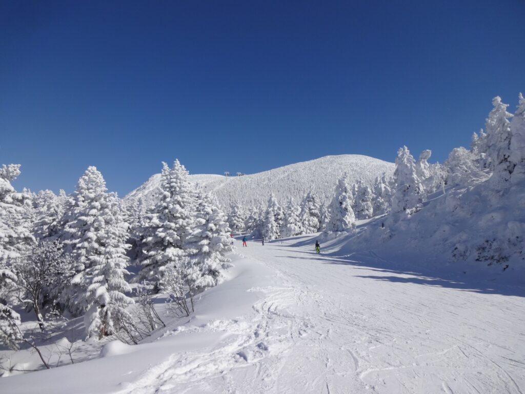 SNOWSEARCH