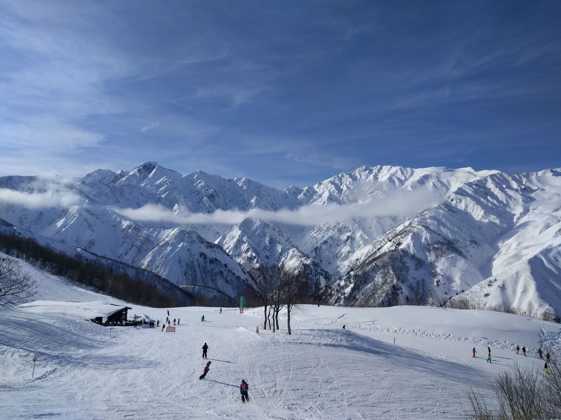 SNOWSEARCH