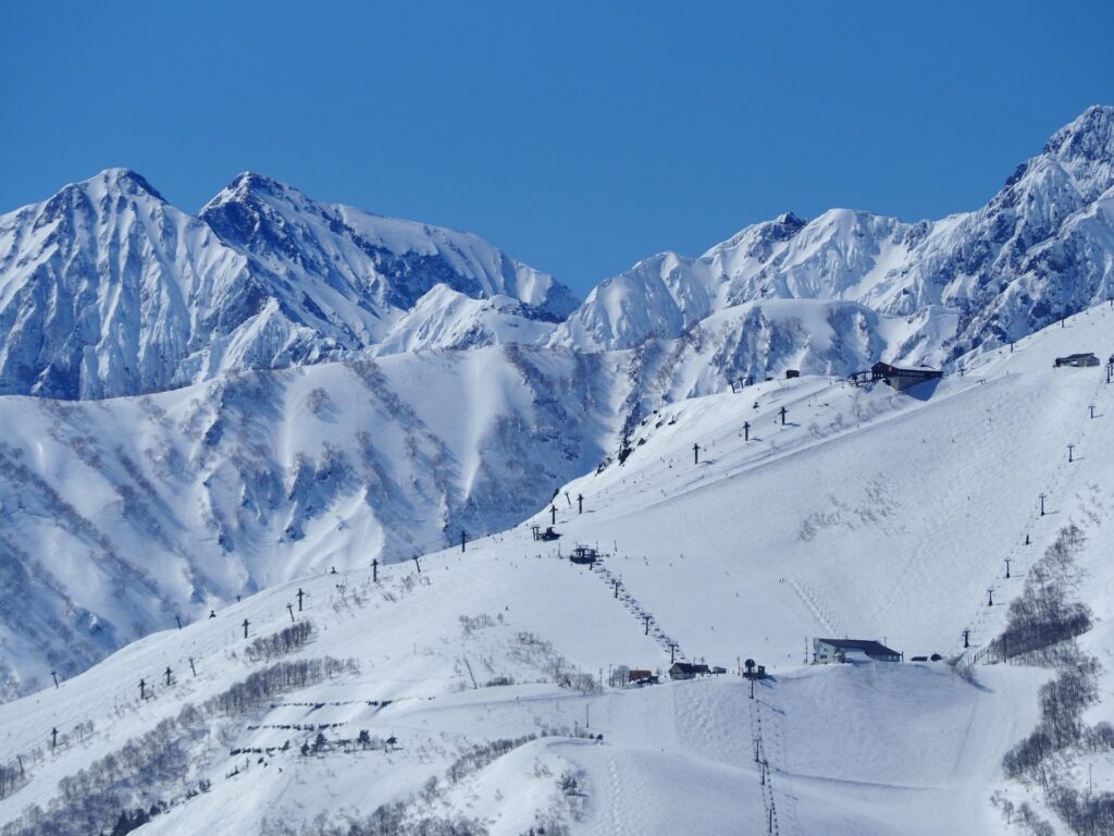 八方尾根 スノーサーチ SNOWSEARCH
